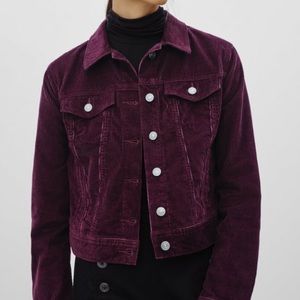 Talulula burgundy Corduroy Crop Jacket - size M